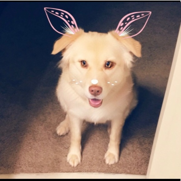 Meet your Posher, Jennifer - Picture 5 of 7